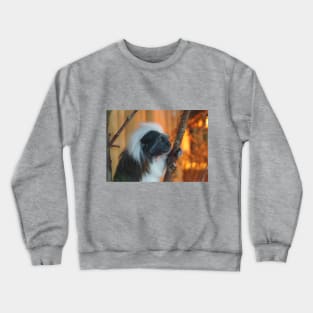 Cotton - Top Tamarin Crewneck Sweatshirt